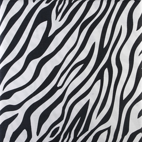 Wild Thing "Black Zebra"