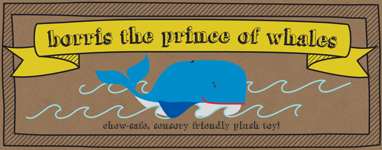 Sensory Toys